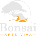 Bonsai Arte Viva