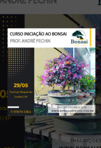 Curso Básico Bonsai + Planta 29/05/2021