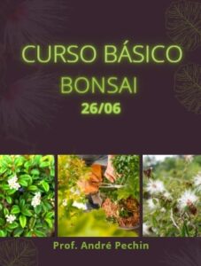 curso básico bonsai