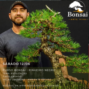 curso pinheiro negro tiago casado