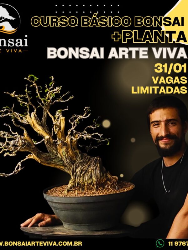 Curso Bonsai 31-01-2025