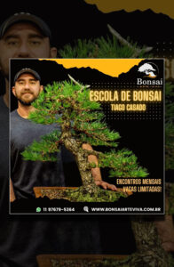 escola bonsai tiago casado encontros mensais
