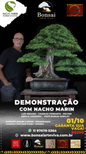 demonstração nacho marin