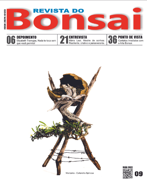 capa-revista-bonsai-09