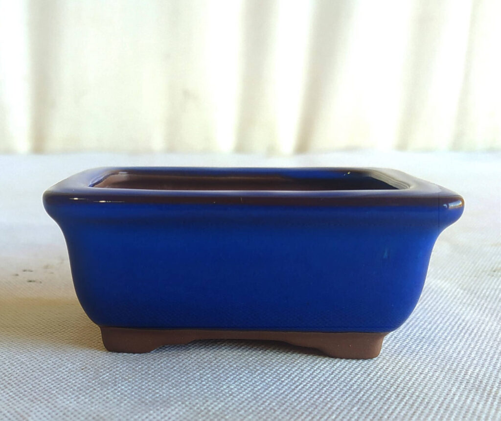 Vaso Bonsai Literato Bonsai Arte Viva