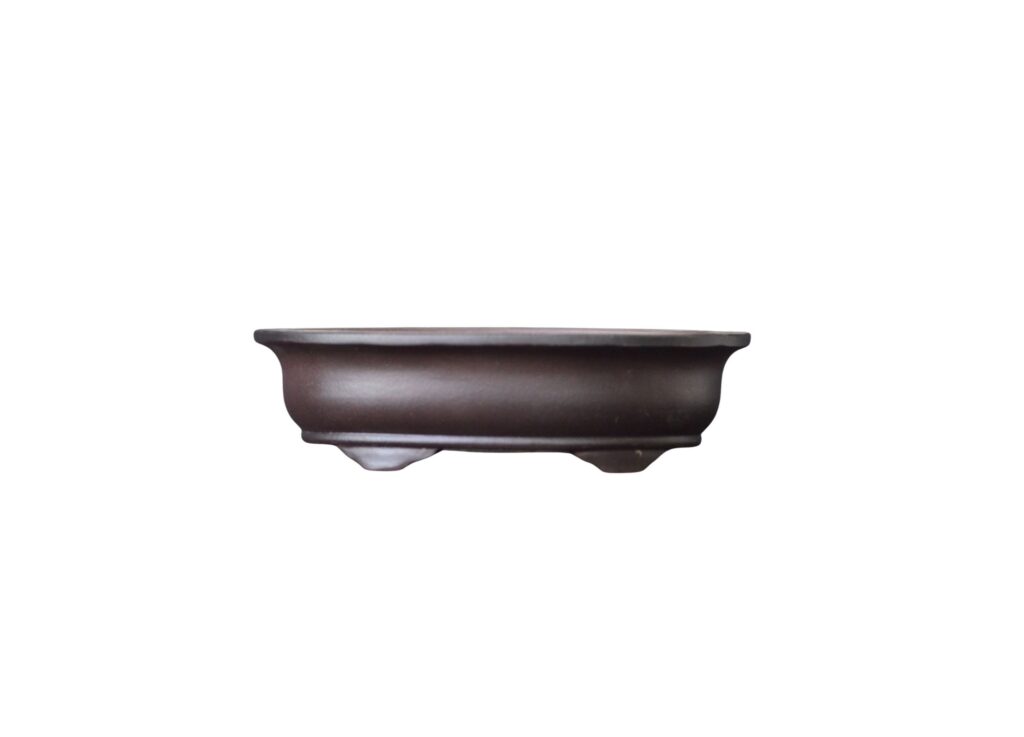 Vaso Bonsai Chines