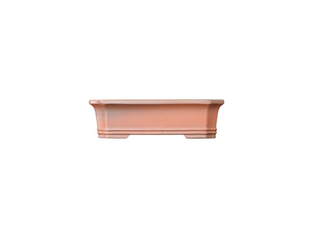 Vaso Bonsai Chines