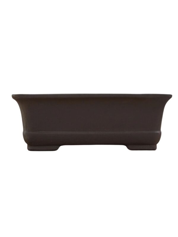 Vaso Bonsai Chines