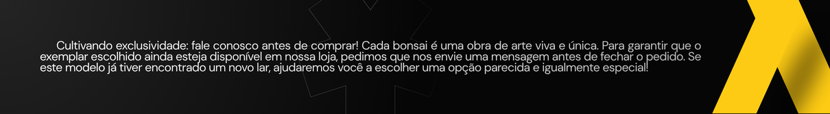 Cultivando exclusividade fale conosco antes de comprar Cada bonsai e uma obra de arte viva e unica. Para garantir que o exemplar escolhido ainda esteja disponivel em nossa loja pedimos que nos e